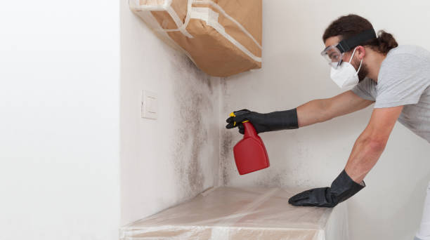 Professional Basement Mold Removal technician working in Kinzers, PA