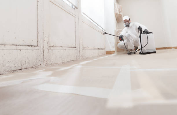 24/7 Emergency Basement Mold Removal experts in Kinzers, PA